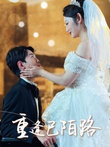 重逢已陌路（林千金她装不下去了）（她如月光碎向星夜） - 第80集完结_人物塑造_成礼菲林-90s网
